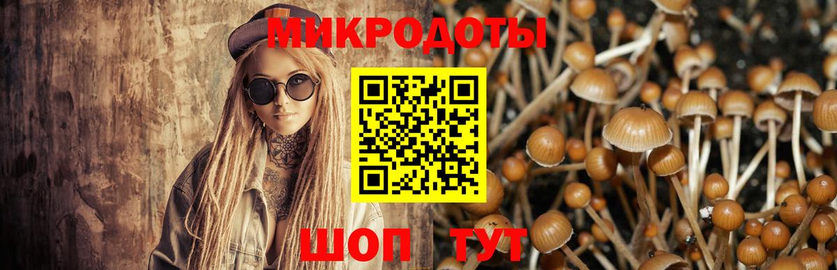 Псилоцибиновые грибы Psilocybine cubensis  Псилоцибиновые грибы ЛСД  что такое наркотик  Красногорск  Вход с VPN 